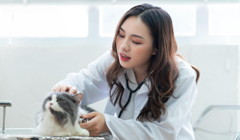 5 rekomendasi dokter hewan terbaik di palembang