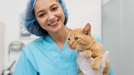 10 Rekomendasi Klinik Dokter Hewan di Bogor