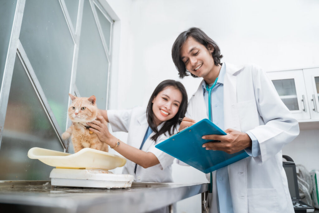 5 Dokter Hewan Pilihan di Tasikmalaya