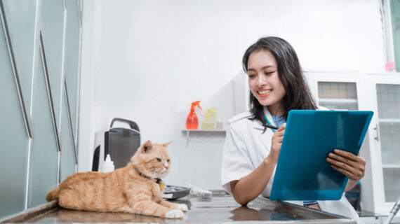 5 Dokter Hewan Paling Oke di Tangerang